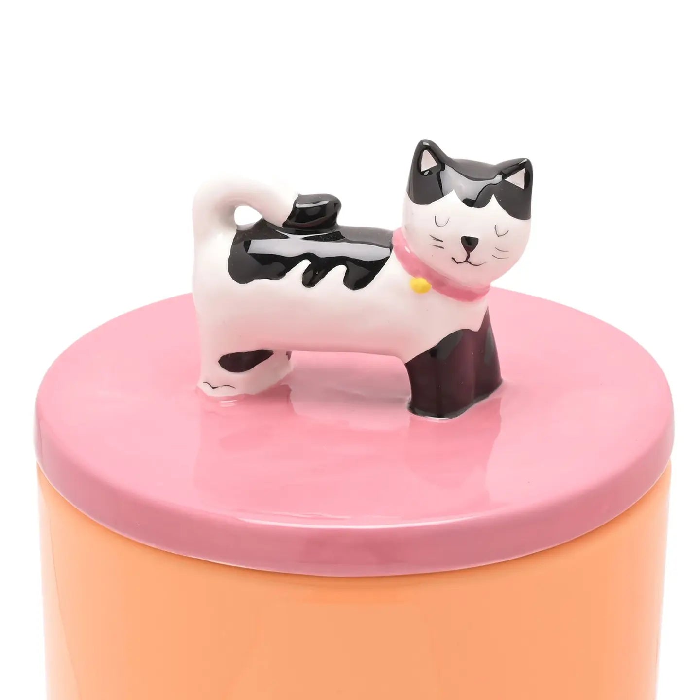 Cat treat jar. Bewaarpot voor kattensnoepjes. Roze, oranje met kat bovenop.