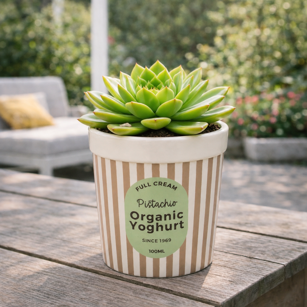 Plantenpot IJs/yoghurt-beker