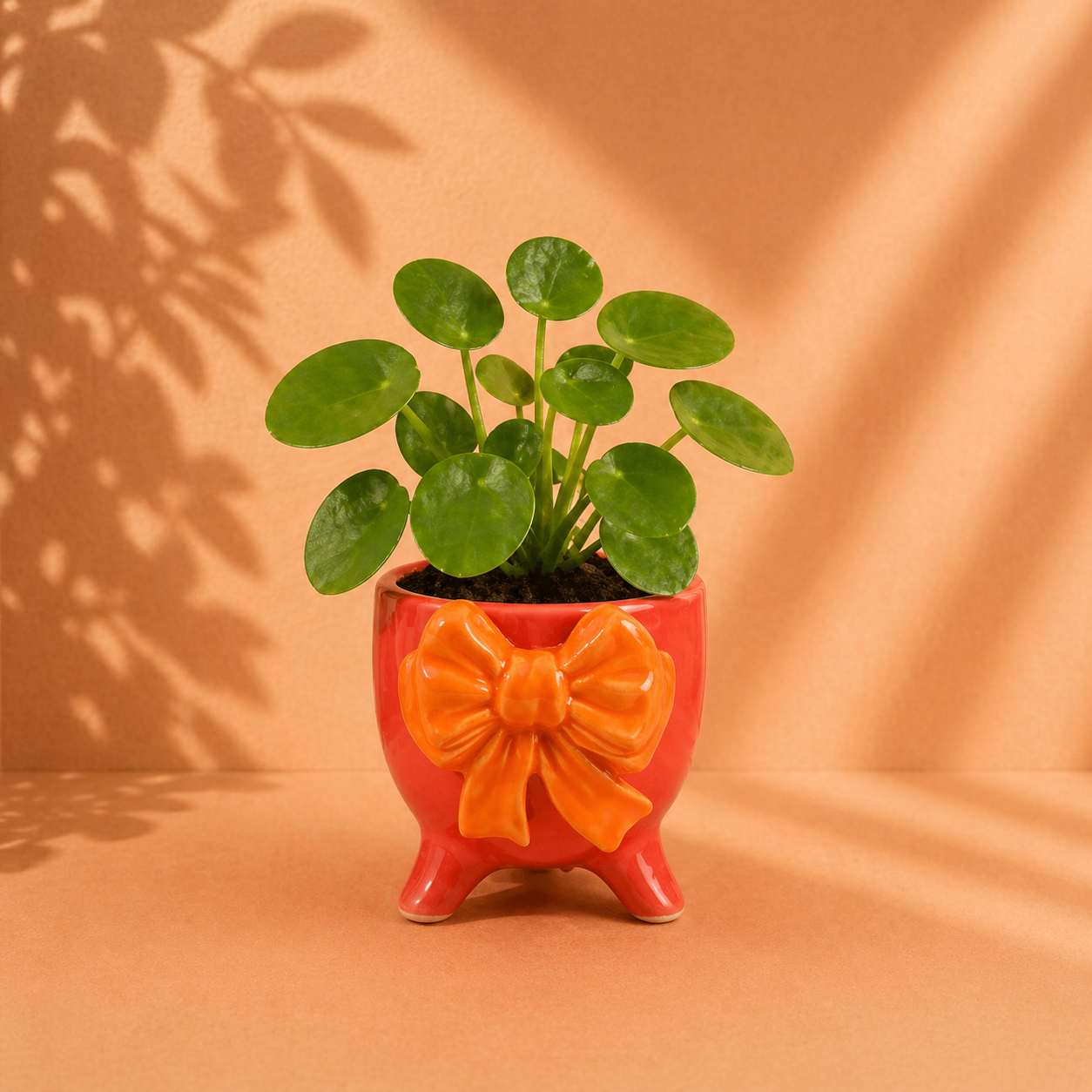 Strik Plantenpot Keramiek – Kleurrijk Bloempotje met Pootjes – 12 x 10 x 12 cm (Roze)