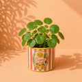 Plantenpot La Cucina – Keramieken Bloempot Italiaans Design – 10x10x9 cm