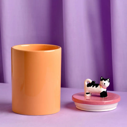 Cat treat jar. Oranje met roze deksel en kat bovenop. 