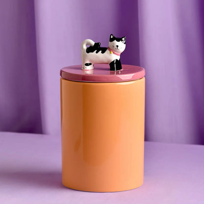 Cat treat jar. Pot voor kattensnoepjes. Oranje met roze en kat bovenop. 