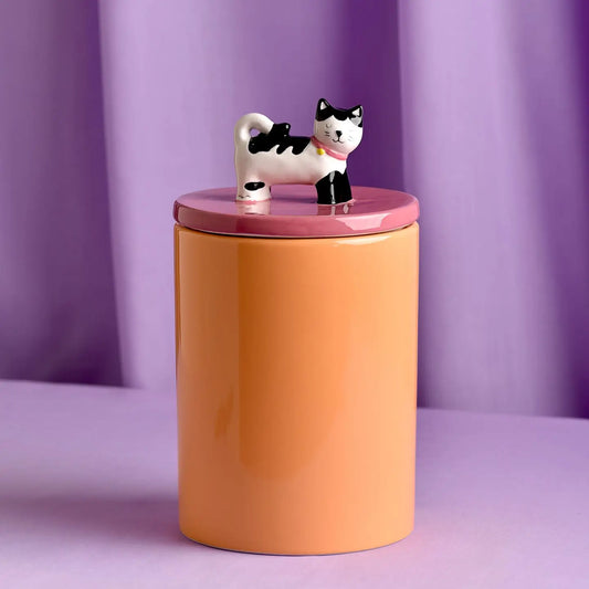 Cat treat jar. Pot voor kattensnoepjes. Oranje met roze en kat bovenop. 