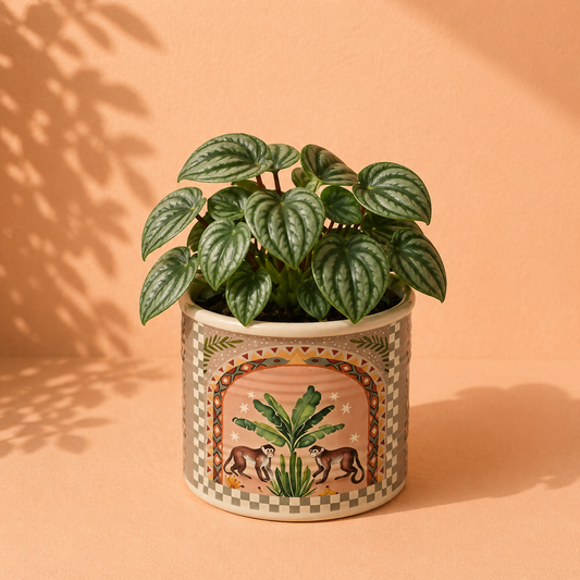 Plantenpot Monkey – Keramieken Bloempot Aap en Palm – 10x10x9 cm