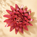 Keramische wandbloem Strobloem – Blushroze