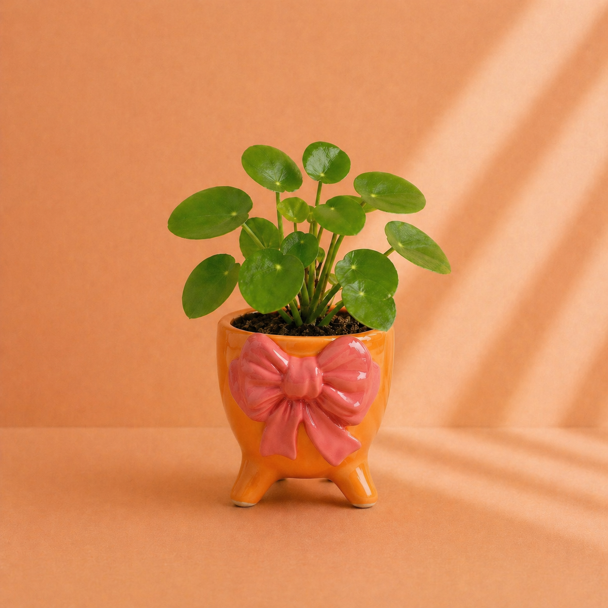Strik Plantenpot Keramiek – Kleurrijk Bloempotje met Pootjes – 12 x 10 x 12 cm (Oranje)