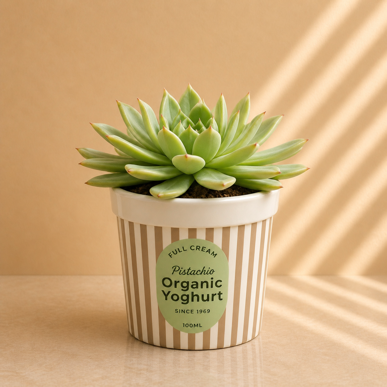 Plantenpot IJs/yoghurt-beker (Creme/beige)