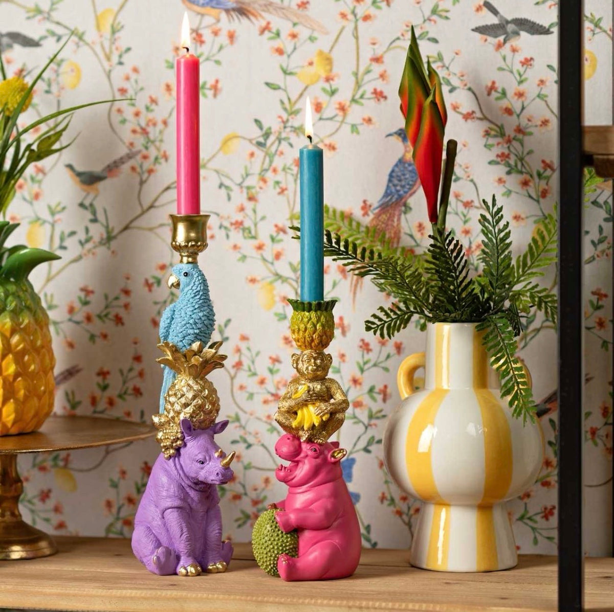 Dierenkandelaar ananas, sfeerbeeld